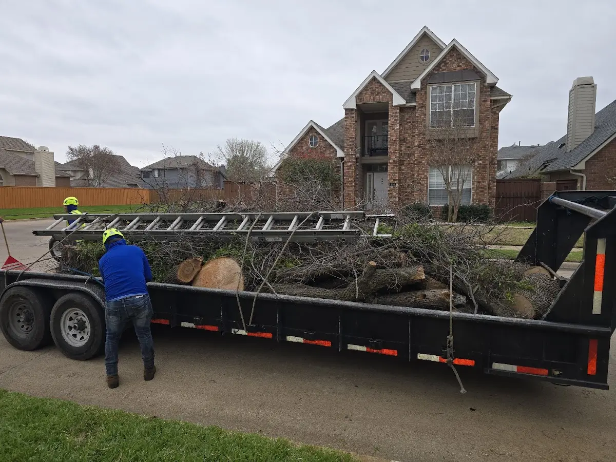 Expert Tree Pest Control with proper safety equipment in Gainesville